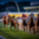 Analyzing horse racing strategies