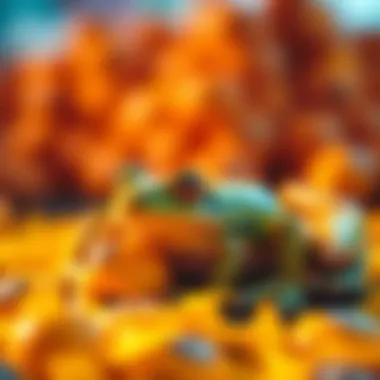 A vibrant depiction of dream interpretation linking frogs and winnings