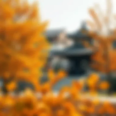 Gyeongju landscape during autumn foliage