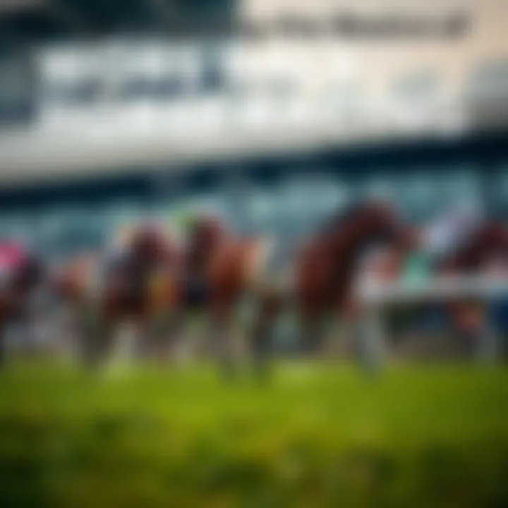 Diagram illustrating the basic rules of horse racing