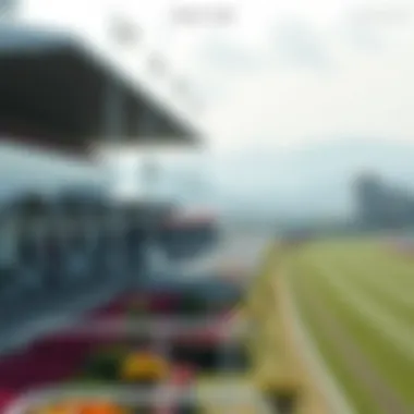 A panoramic view of the Seoul race club during a major event