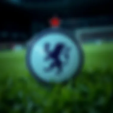 Unique characteristics of logos in various sports