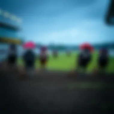 Different types of race conditions in betting