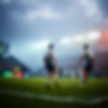 Insightful visualization of variable considerations